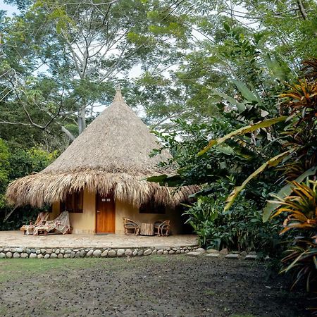 One Santuario Hotel Y Reserva Natural ปาโลมิโน ภายนอก รูปภาพ