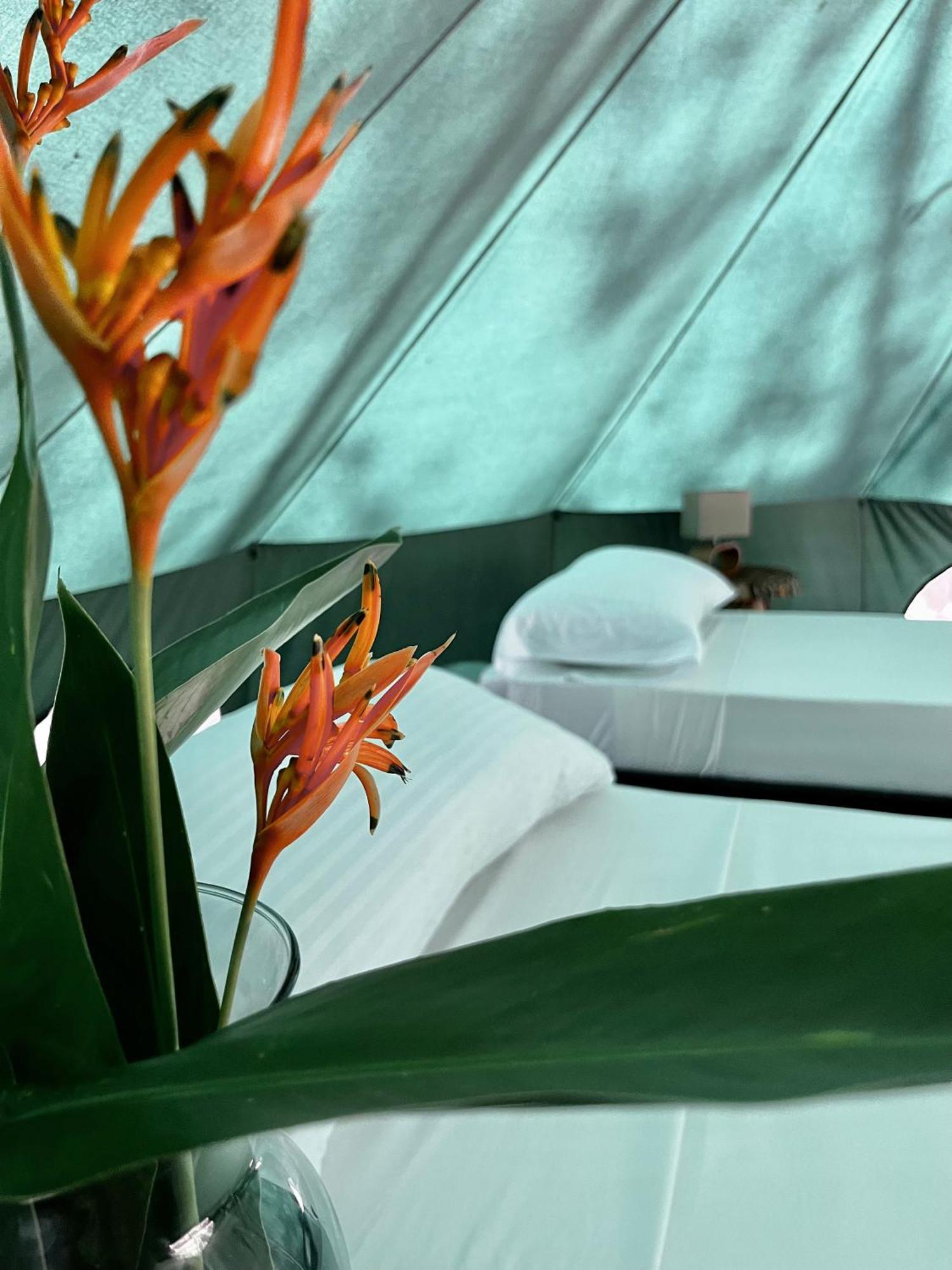 One Santuario Hotel Y Reserva Natural ปาโลมิโน ห้อง รูปภาพ