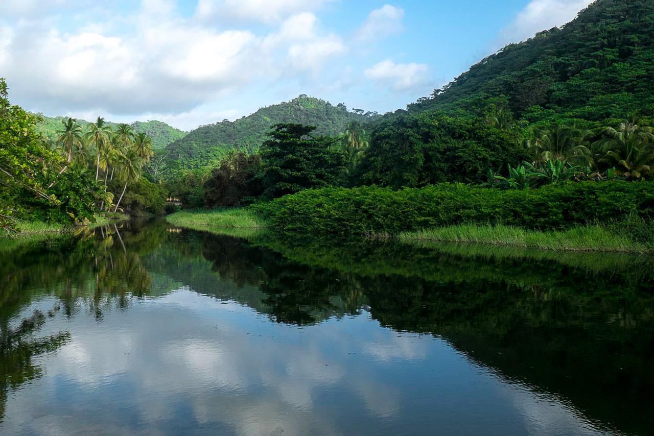 One Santuario Hotel Y Reserva Natural ปาโลมิโน ภายนอก รูปภาพ