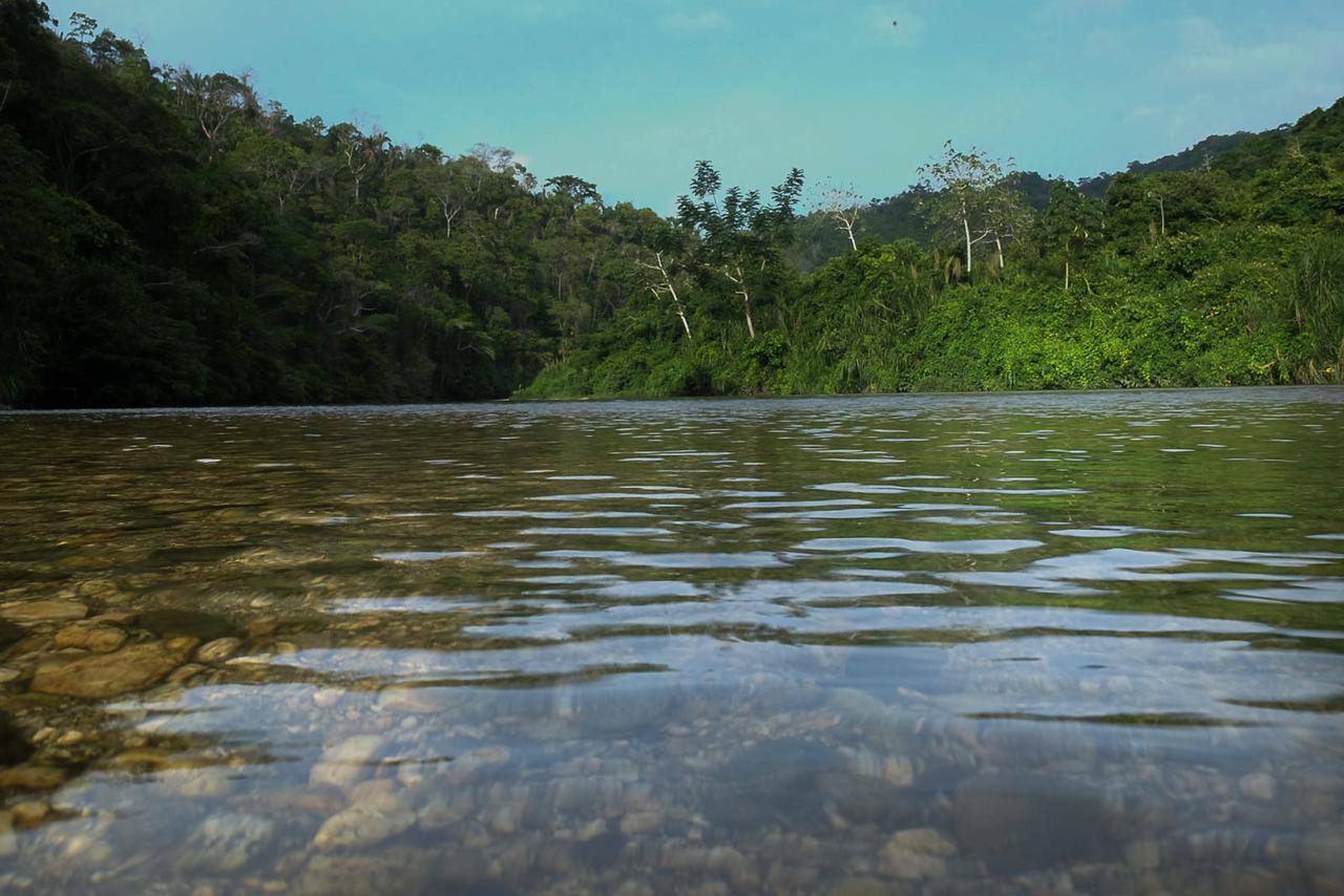 One Santuario Hotel Y Reserva Natural ปาโลมิโน ภายนอก รูปภาพ