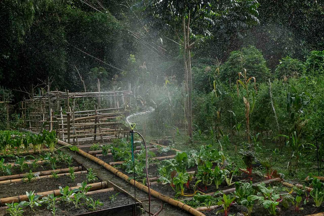 One Santuario Hotel Y Reserva Natural ปาโลมิโน ภายนอก รูปภาพ
